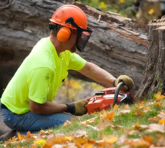 tree services La Hacienda